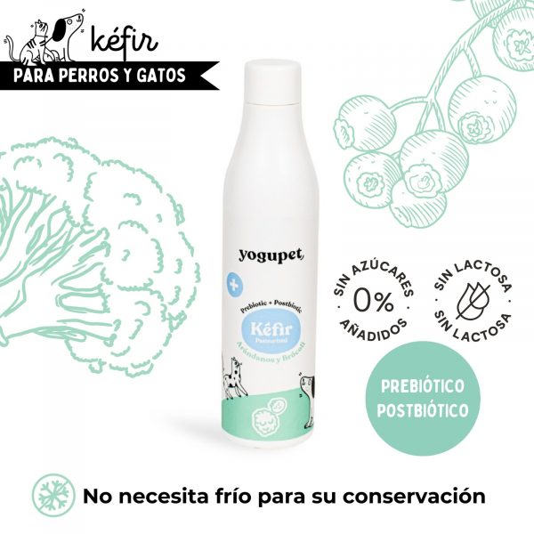 Kefir Yogupet Arandanos y Brocolo 200ml