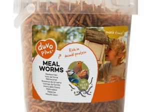 Gusanos de Harina 200g