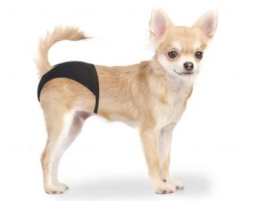 Braguita con 3 Recambios