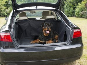 Manta Protectora Maletero con Bolsillo