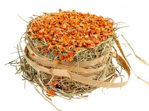 Hamburguesa de Heno con Zanahoria