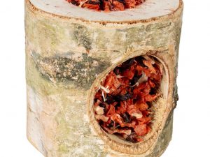 Tronco de Abedul Relleno 180g