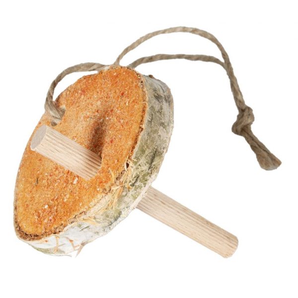 Tronco de Abedul