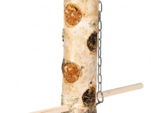 Tronco de Abedul Lleno