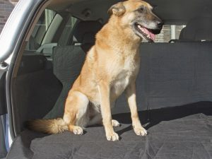 Funda Cubre Maletero Duvo