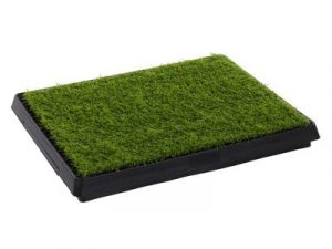 Baño para Perros Cesped