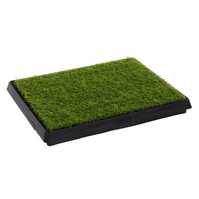 Baño para Perros Cesped