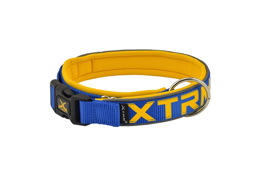 Collar X-TRM Neon Flash Cobalto
