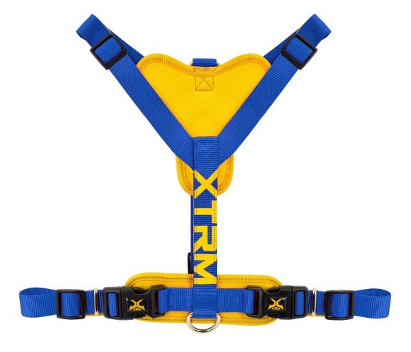 Arnés X-TRM Cronos Neón Flash Cobalto