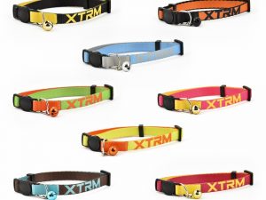 Collar Gato X-TRM Neon Flash 10mmx22-33cm