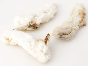 Patas de Conejo