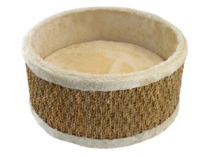 Atelier Cuna Adventure