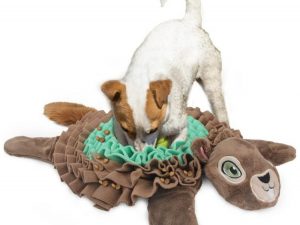 Alfombrilla de Ardilla